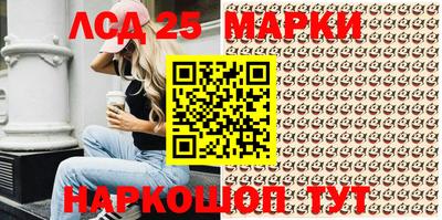 стафф Камышлов