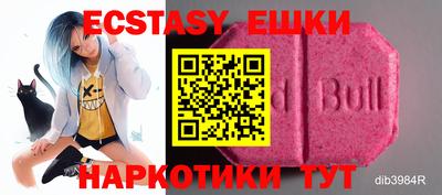 стафф Камышлов