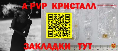 стафф Камышлов