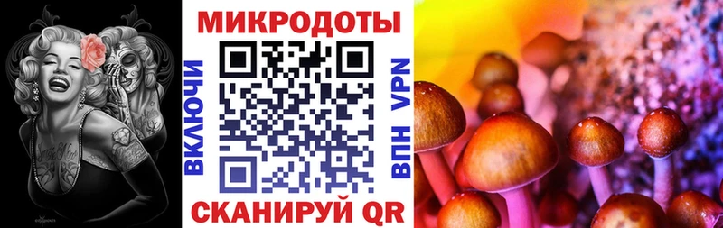 Псилоцибиновые грибы GOLDEN TEACHER Красноуфимск