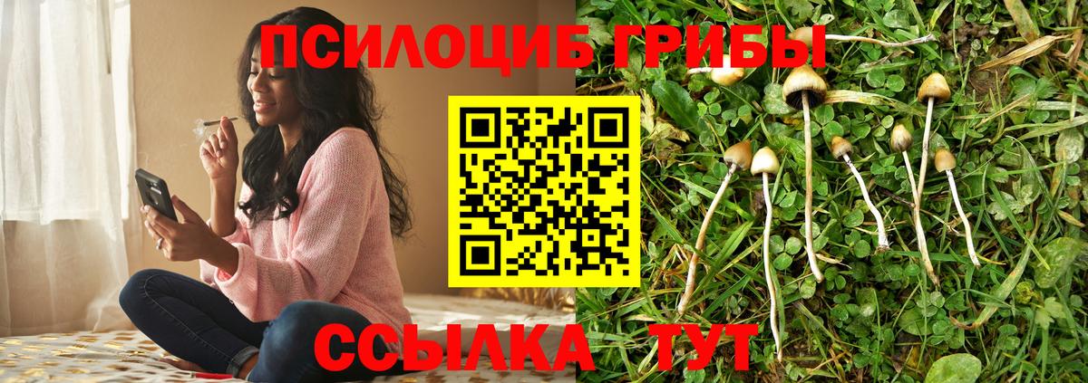 Красноуфимск  Галлюциногенные грибы Magic Shrooms  Вход с VPN  Псилоцибиновые грибы ЛСД 